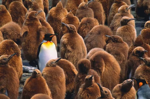 How to Stand Out as a Student in the AI Era